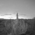 Webcam_20200314-060000