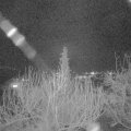 Webcam_20200314-200000