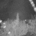 Webcam_20200314-203000