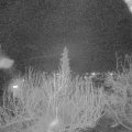 Webcam_20200314-210000