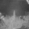 Webcam_20200314-213000