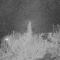 Webcam_20200315-213000