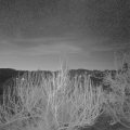 Webcam_20200316-053000
