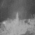 Webcam_20200316-203000