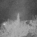 Webcam_20200316-213000