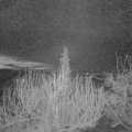 Webcam_20200317-053000