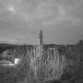Webcam_20200317-060000