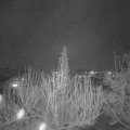 Webcam_20200317-193000