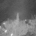Webcam_20200317-200000