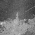 Webcam_20200317-203000