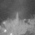 Webcam_20200317-210000