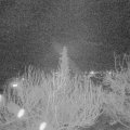 Webcam_20200317-213000