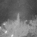 Webcam_20200317-220000