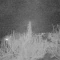 Webcam_20200318-200000