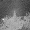 Webcam_20200318-203000