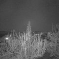 Webcam_20200319-193000