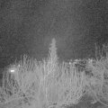 Webcam_20200319-200000