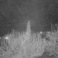 Webcam_20200320-200000