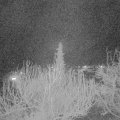Webcam_20200320-213000