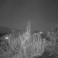 Webcam_20200321-193000