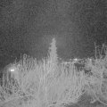 Webcam_20200321-203000