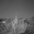 Webcam_20200322-193000