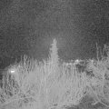 Webcam_20200322-200000