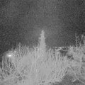 Webcam_20200322-213000