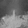 Webcam_20200323-210000