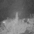 Webcam_20200324-200000