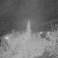 Webcam_20200324-210000