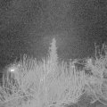 Webcam_20200324-220000