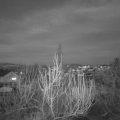 Webcam_20200326-193000