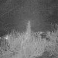 Webcam_20200326-200000