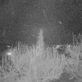 Webcam_20200326-203000