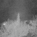 Webcam_20200326-220000