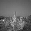 Webcam_20200327-193000