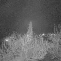 Webcam_20200327-200000