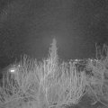 Webcam_20200328-200000