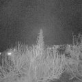 Webcam_20200328-203000