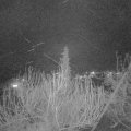 Webcam_20200329-200017