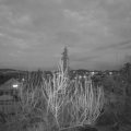 Webcam_20200330-193000