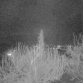 Webcam_20200330-203000