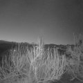 Webcam_20200331-050000