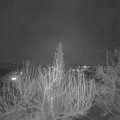 Webcam_20200401-200000