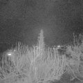 Webcam_20200401-203000