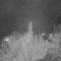Webcam_20200401-210000
