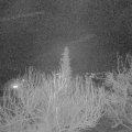Webcam_20200401-213000