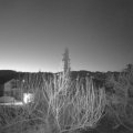 Webcam_20200402-050000