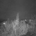 Webcam_20200402-200000